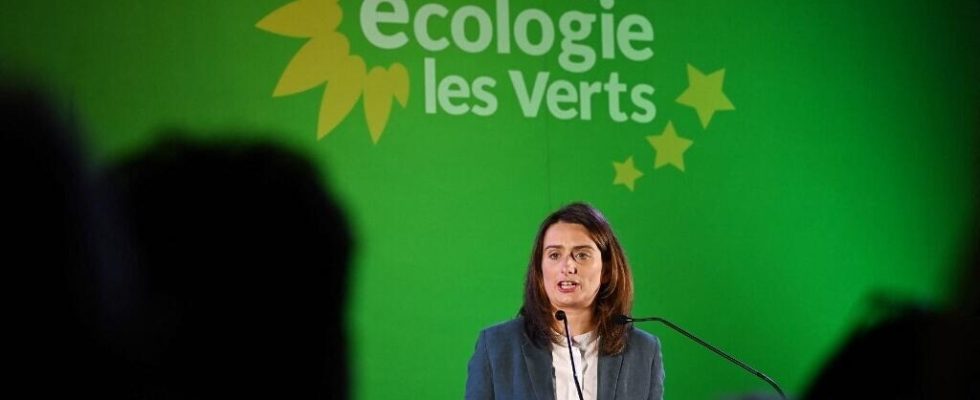 France the EELV party announces that it will no longer