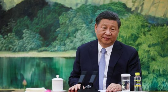 George Magnus Sous Xi Jinping la vache a lait de