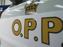 Haldimand man dies in collision on QEW