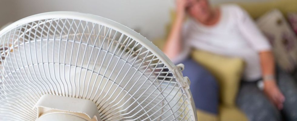 Heat waves can lead to cognitive decline