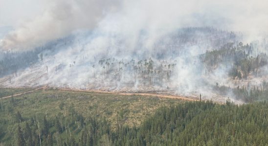 In Canada forest fires have generated record carbon emissions