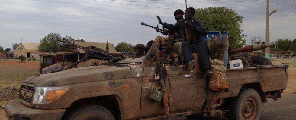 In Sudan armed movements in Darfur are trying to resist