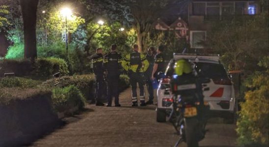 Man from Wijk shot officers with a crossbow before he