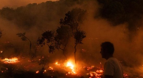 Many fires started in Greece