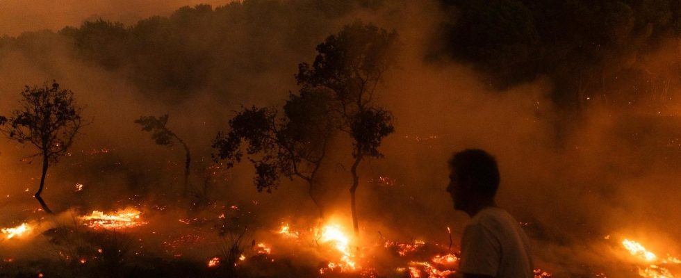 Many fires started in Greece