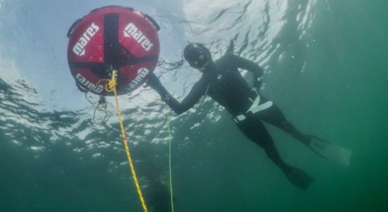 Mara is a freediver in Utrecht and watched Netflix hit