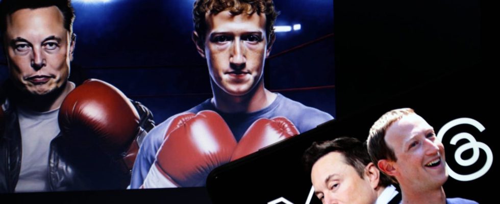 Mark Zuckerberg vs Elon Musk the MMA fight broadcast live