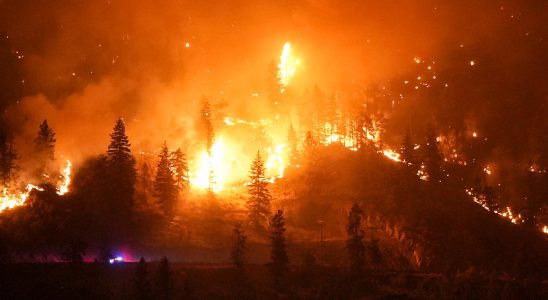 Mass evacuation from fires in Canadas Kelowna