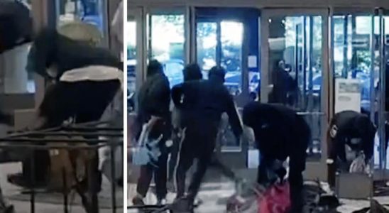 Mob stormed mall knocked out guards with spray