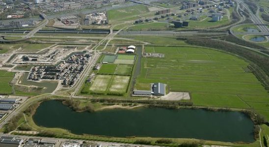 Negative swimming advice for Strijkviertelplas due to blue green algae