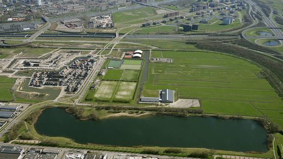 Negative swimming advice for Strijkviertelplas due to blue green algae