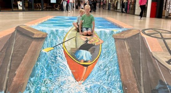 Nieuwegein a cultural hotspot This lifelike street art should make