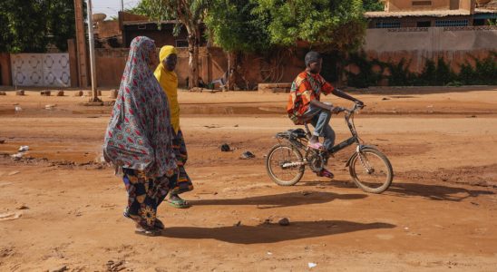 Niger supporters of ex president Bazoum demonstrate against the junta despite