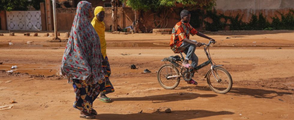 Niger supporters of ex president Bazoum demonstrate against the junta despite