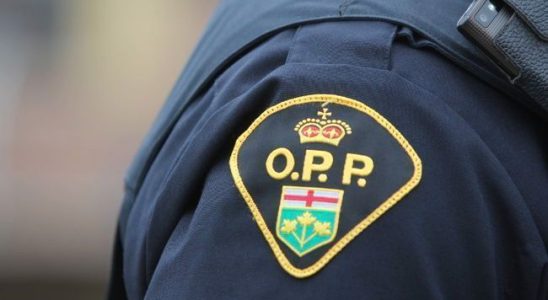 Norfolk OPP investigates rash of vehicle thefts