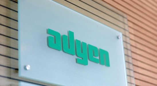 Online payment specialist Adyen falls on the Amsterdam Stock Exchange