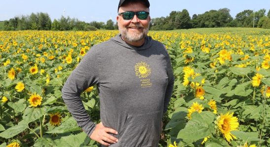 Plympton Wyoming sunflower field honoring Maxs memory