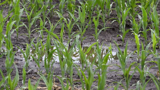 Rainy month after record drought what does that do to