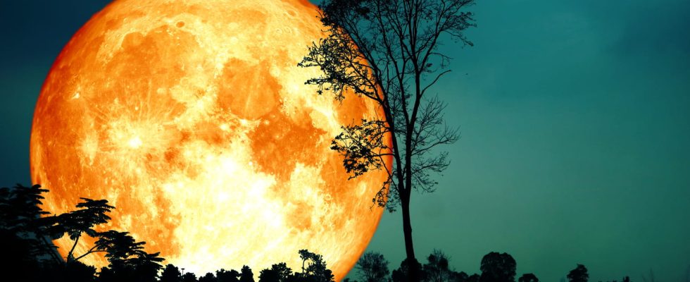 Super Blue Moon What Youll Really See This Wednesday Night