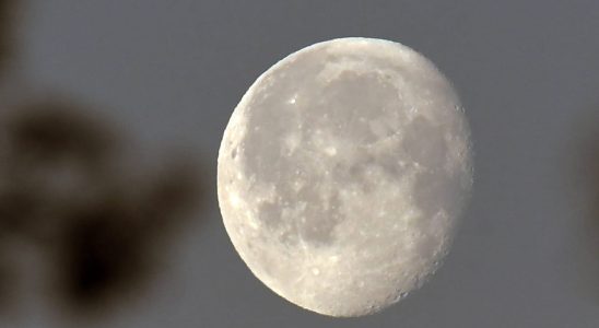 Super moon 2023 how to observe it this August 1st