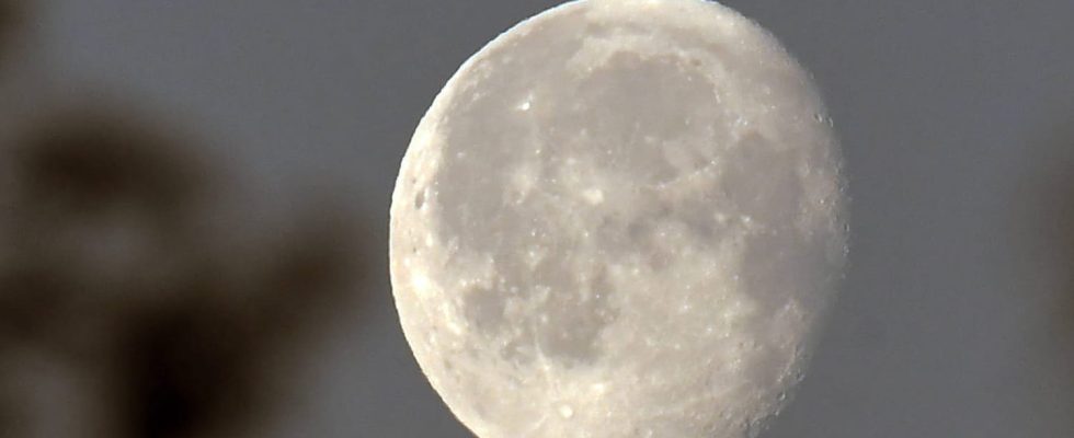 Super moon 2023 how to observe it this August 1st