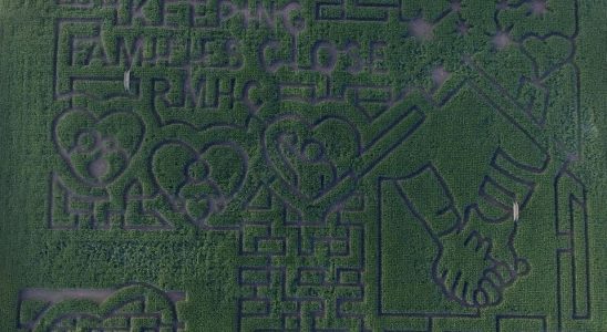 Thamesville corn maze design promotes Ronald McDonald House Charities