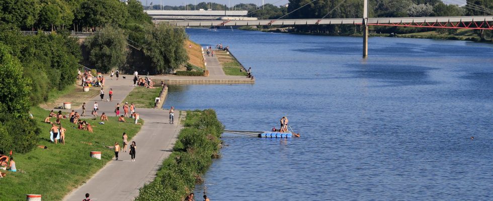 The Seine still unsuitable for a competition these depollution operations