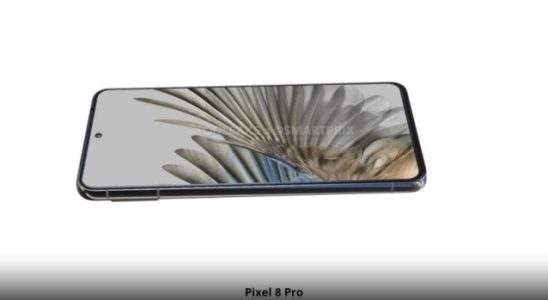 The design of the Google Pixel 8 series has been