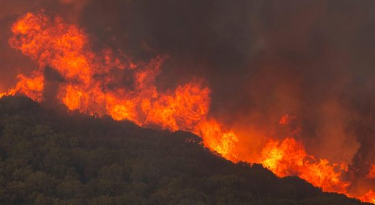 The fires continue to rage in Greece