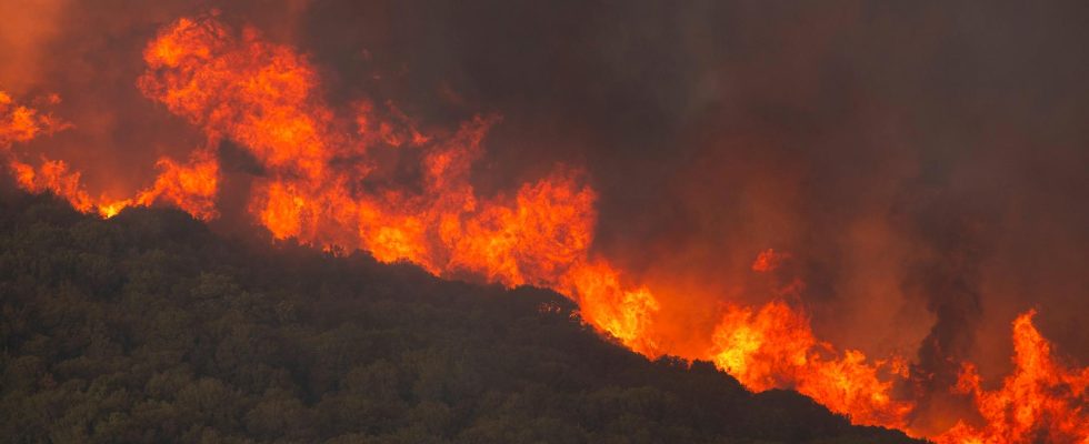 The fires continue to rage in Greece