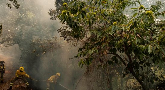 The giant fire in Tenerife subsides