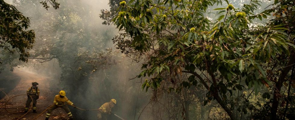 The giant fire in Tenerife subsides