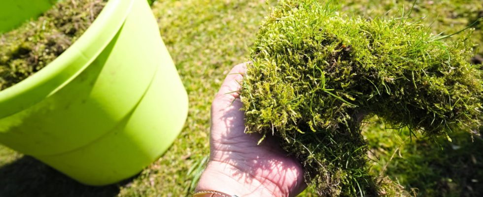 The magic coffee grounds they can make a big difference