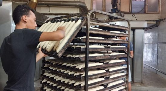 Tunisia the bread crisis continues in front of the bakeries