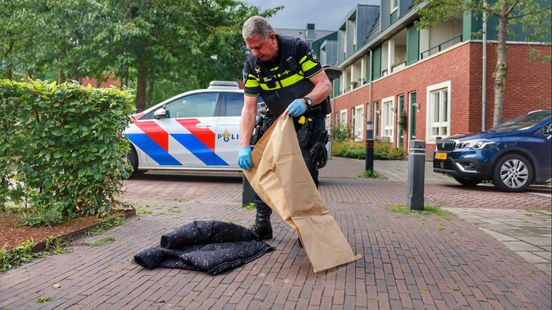 Two boys arrested in Zeist after a probably out of