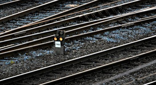 Unique Bronze Age grave found during railway construction