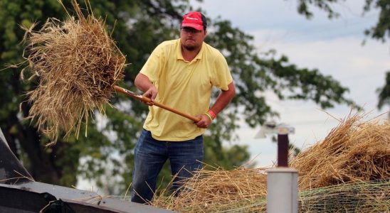 Western Ontario Steam Threshers Reunion begins Friday in Forest