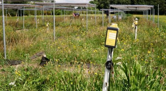 Wet or dry Utrecht research into the amount of water