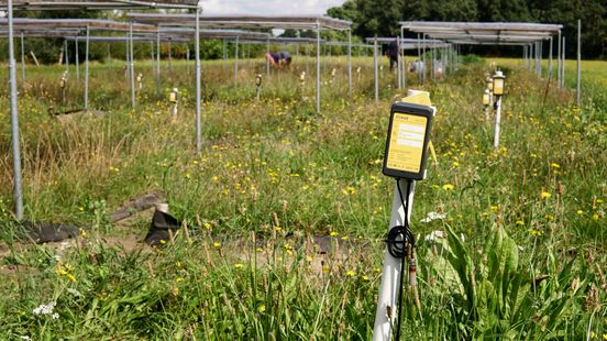 Wet or dry Utrecht research into the amount of water