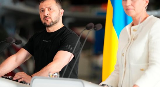 Zelenskyy speaks during visit to Denmark