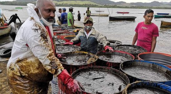 three years after the Wakashio pollution the victims demand compensation