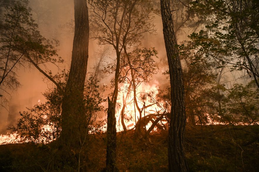 A forest fire in Dadia National Park, near Alexandroupoli, on September 2, 2023 in northern Greece