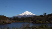 A mountain climber survived a 600 meter fall in New Zealand