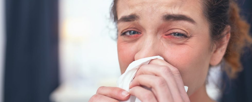 Ambrosia allergy symptoms what to do