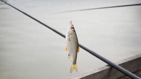 Amersfoort fishermen will soon no longer be allowed to use