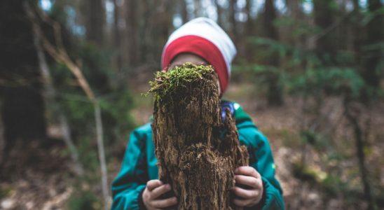 Children have the right to a clean and healthy environment