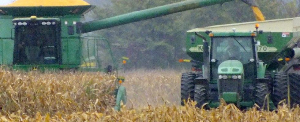 Corn stover supply rating aids Sarnia area effort to attract bio chemical