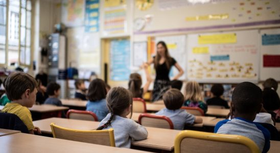 Education France champion of time devoted to fundamental knowledge in