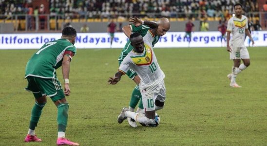 Football in a friendly match Algeria takes on African champion