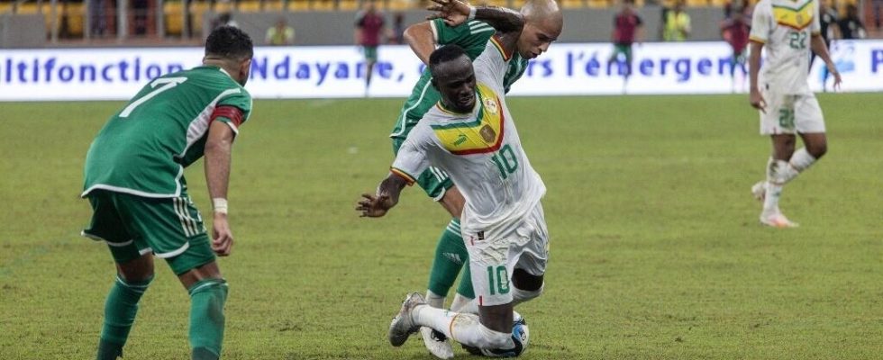 Football in a friendly match Algeria takes on African champion